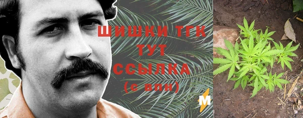MESCALINE Аркадак