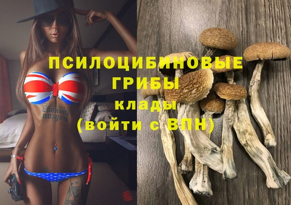стафф Арсеньев