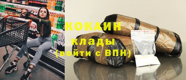 стафф Арсеньев