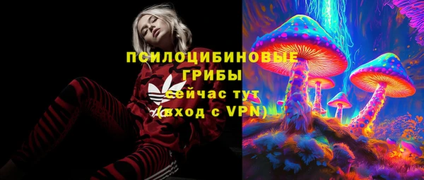 стафф Арсеньев